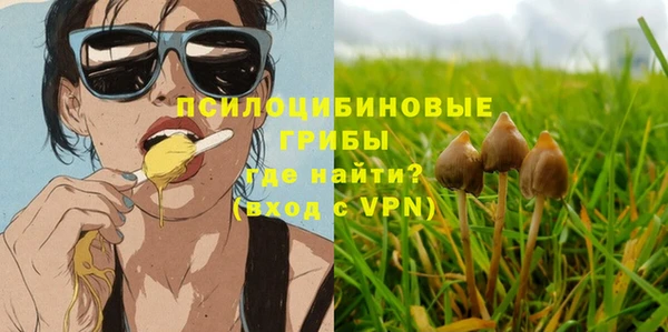 тгк Сосновка