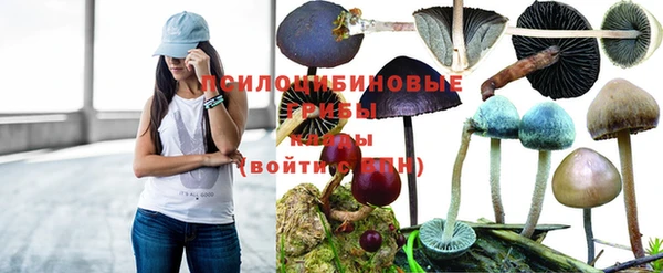 прущая мука Сосновый Бор