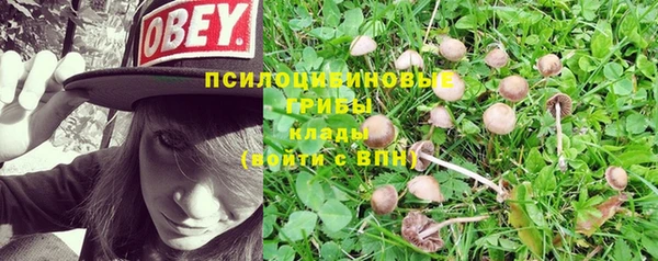apvp Балахна
