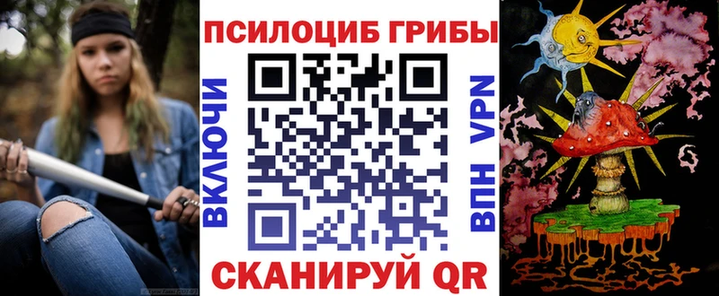KRAKEN зеркало  Берёзовский  Псилоцибиновые грибы MAGIC MUSHROOMS 